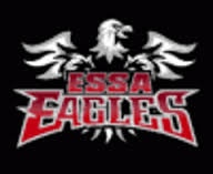 Logo for Essa Eagles